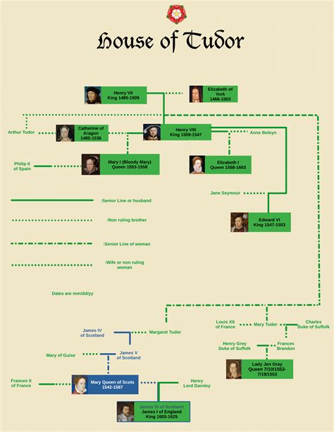 english tudor dynasty family tree|tudor family tree ancestry.